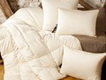 Элитное одеяло натуральный пух сибирского гуся Lucky Dreams арт. Sandman 200х220 / 